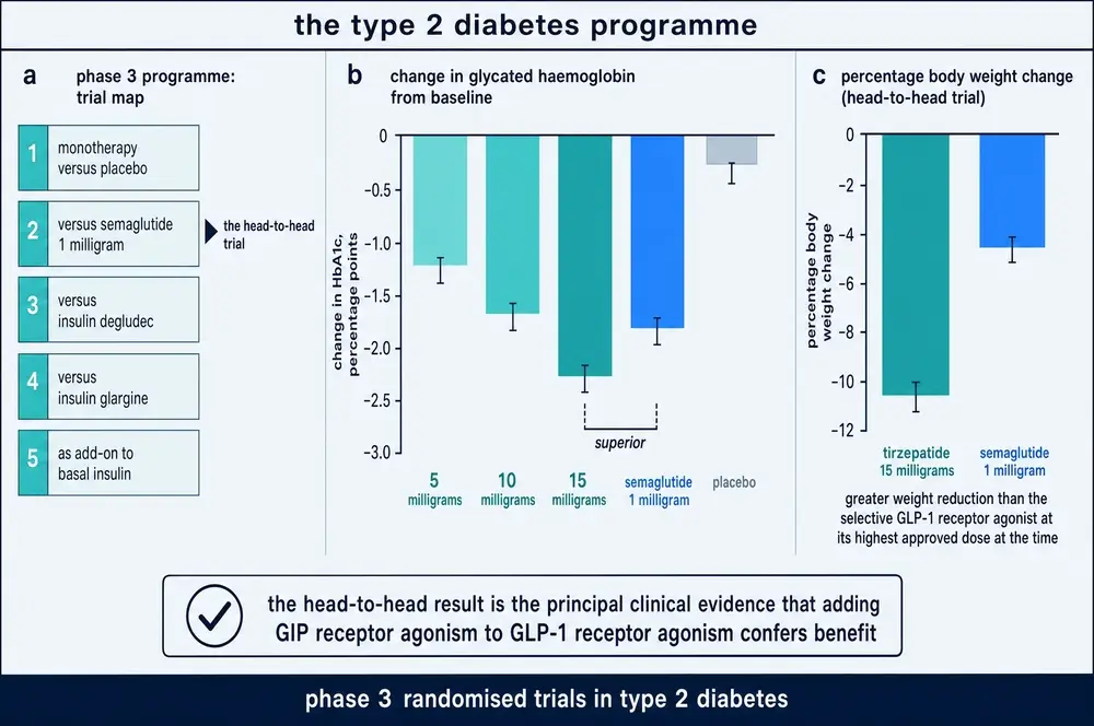 The phase 3 type 2 diabetes trial map, glycated haemoglobin change and head-to-head weight change