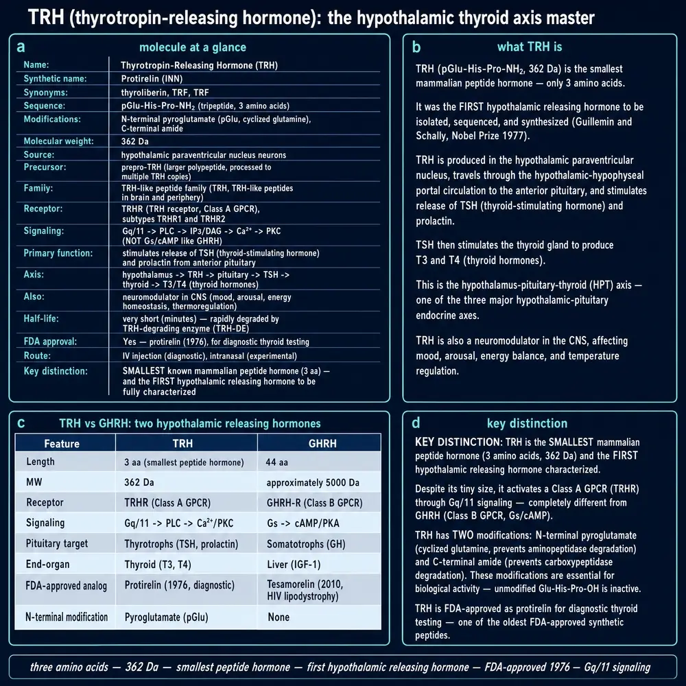TRH identity: molecule card, what TRH is, TRH vs GHRH, key distinction