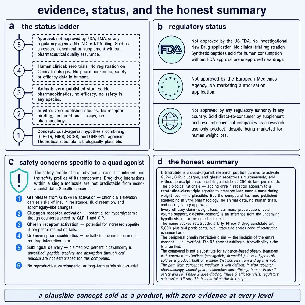 Ultratrutide status ladder, regulatory negatives, hypothetical safety concerns, and honest summary of zero published studies