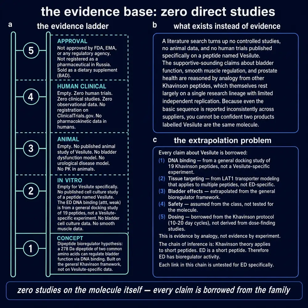 Evidence ladder: concept solid, higher rungs empty for named Vesilute