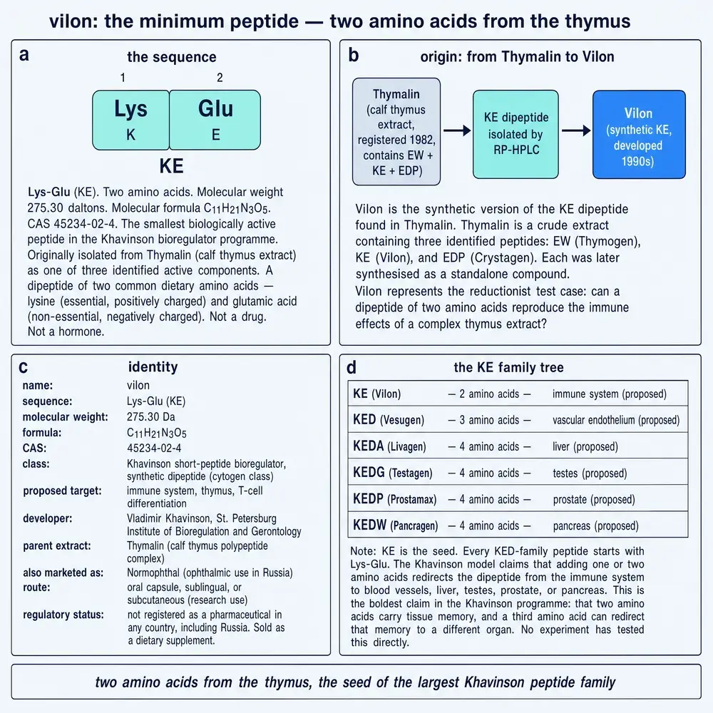 Vilon identity: Lys-Glu sequence, Thymalin pairing, KE family tree