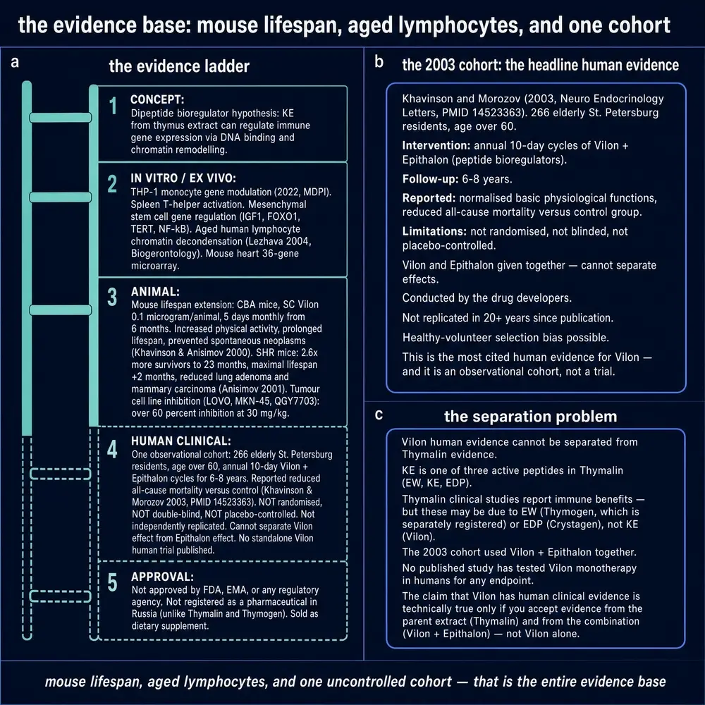 Evidence ladder from concept through animal work to human observation