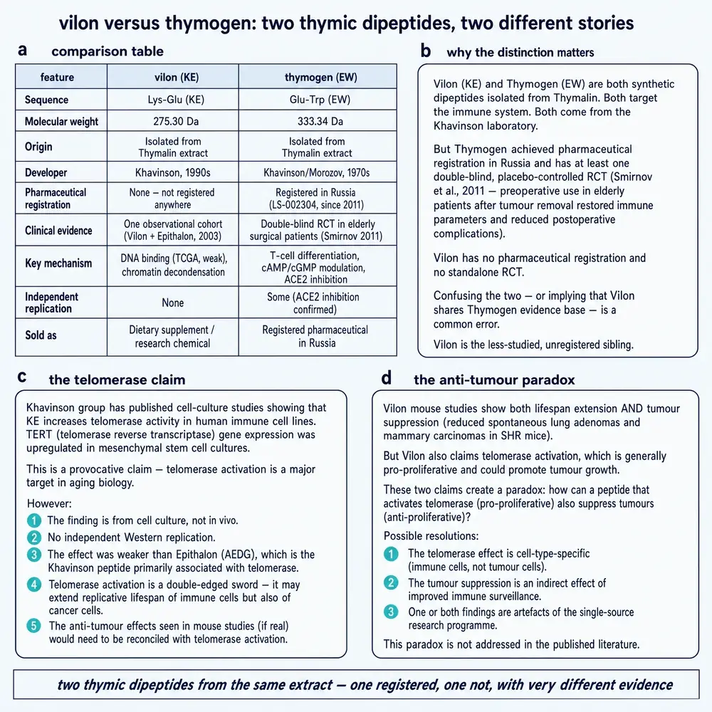 Vilon versus Thymogen: two thymic dipeptides compared