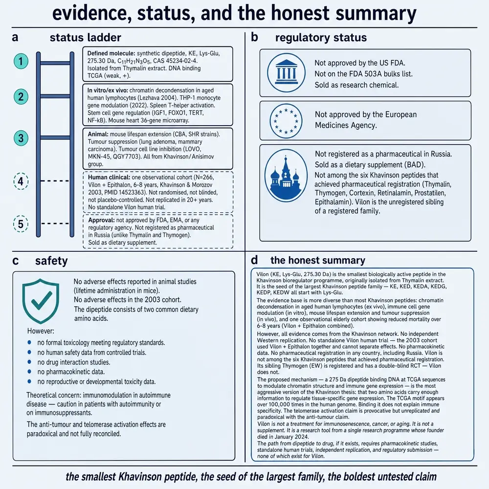 Status ladder, regulatory position, safety gaps, and honest summary