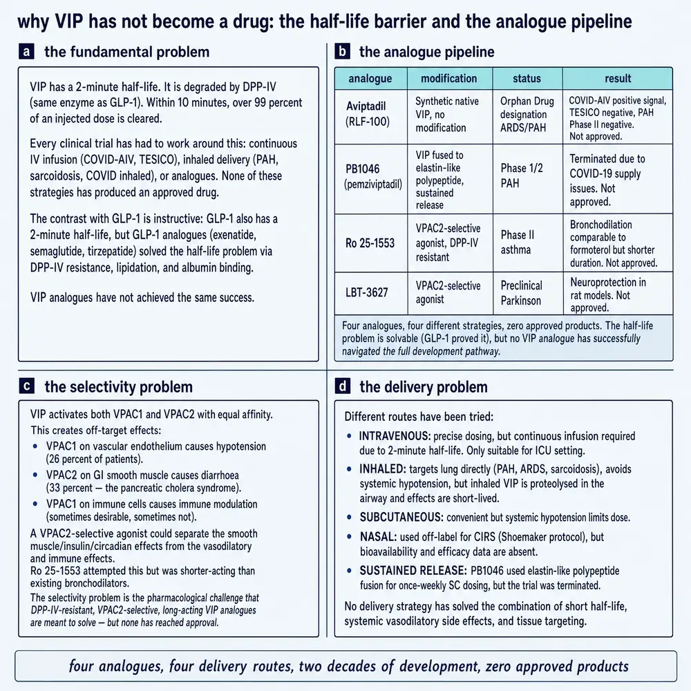 Why VIP has not become a drug: half-life barrier, analogue pipeline, selectivity and delivery problems