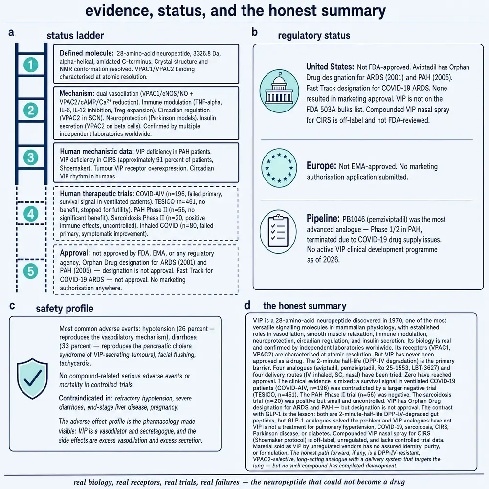 Status ladder, regulatory non-approval, safety profile as pharmacology made visible, and the honest summary